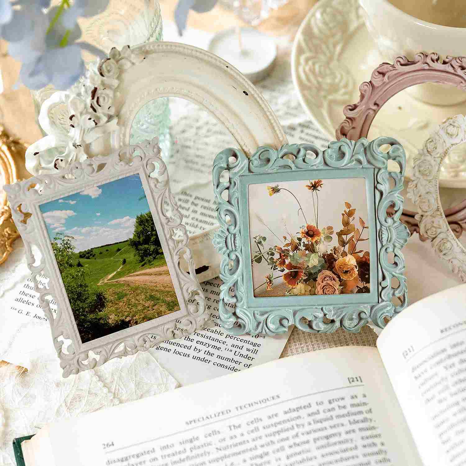 Timeless Cassia Paper Frame Sticker - Image 2